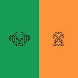 Pack Duo – Jungle & Savane