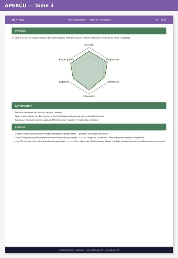 Bilan Psychomusical — Repères de Pratique – Image 3